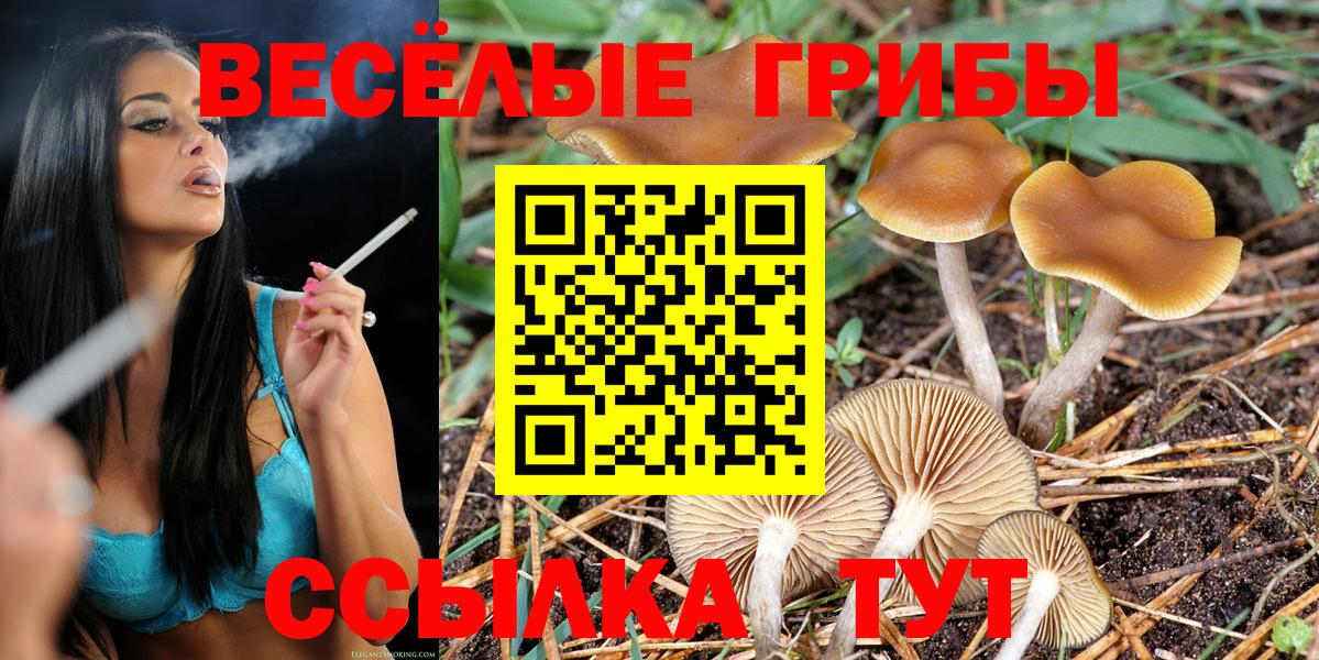 Псилоцибиновые грибы MAGIC MUSHROOMS Лыткарино