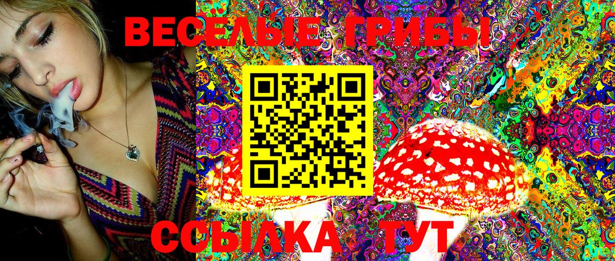 Лыткарино  Галлюциногенные грибы Cubensis  Вход с VPN  Псилоцибиновые грибы Psilocybe 